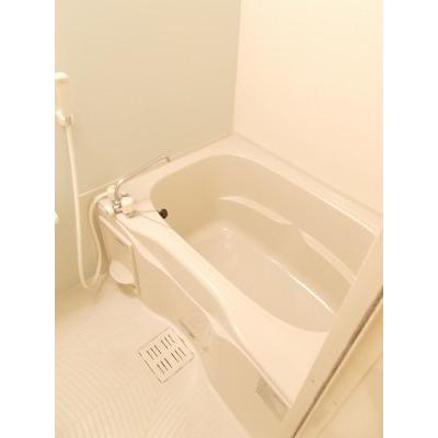 プリムローズ・Ｋ　Ａ 202【管理NO：1-017607401-02020】の物件写真4