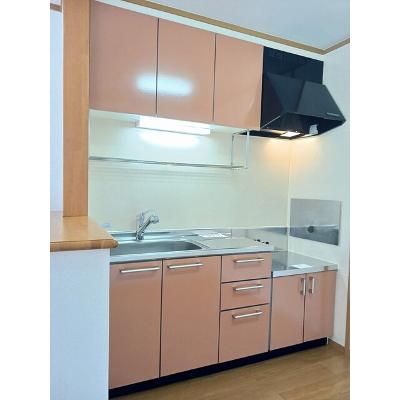 カーサ金岡 201【管理NO：1-012763401-02010】 ★家具家電は申し込み後に搬入しますの物件写真3
