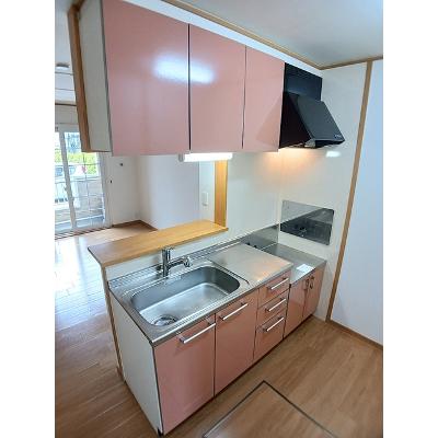 レジデンス　ヒロＣ 101【管理NO：1-013134503-01010】 ★家具家電は申し込み後に搬入しますの物件写真3