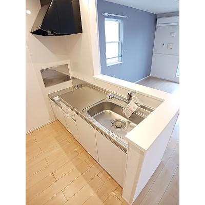 カーサ　エスペランツァⅡ 202【管理NO：1-022377401-02020】 ★家具家電は申し込み後に搬入します★の物件写真3