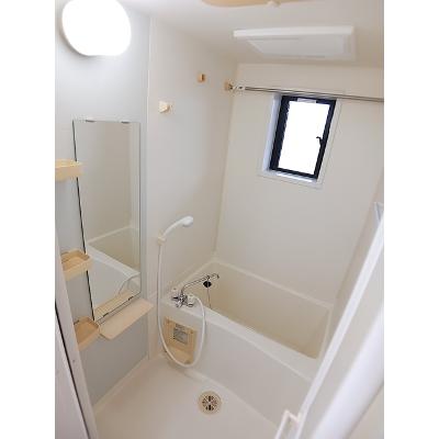 彩ｓａｉ 201【管理NO：1-013681001-02010】 ★家具家電は申し込み後に搬入します★の物件写真4