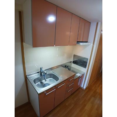 サニーレジデンス　ＹＫ 308【管理NO：1-013465801-03070】 ★家具家電は申し込み後に搬入します★の物件写真3