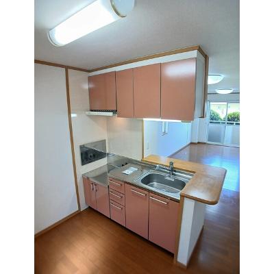 ニルヴァーナ　ビエンネ 105【管理NO：1-013355002-01040】 ★家具家電は申し込み後に搬入します★の物件写真3