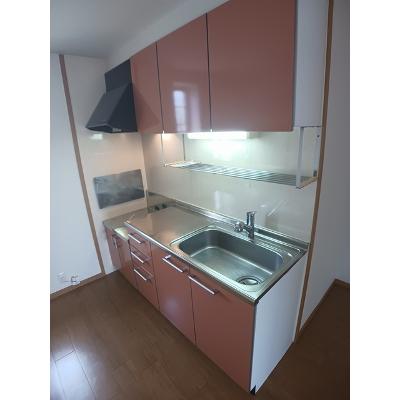 シェーン・バッハ 201【管理NO：1-012993001-02010】 ★家具家電は申し込み後に搬入します★の物件写真3