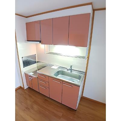 セレッソⅡ 105【管理NO：1-012781901-01040】 ★家具家電は申し込み後に搬入します★の物件写真3