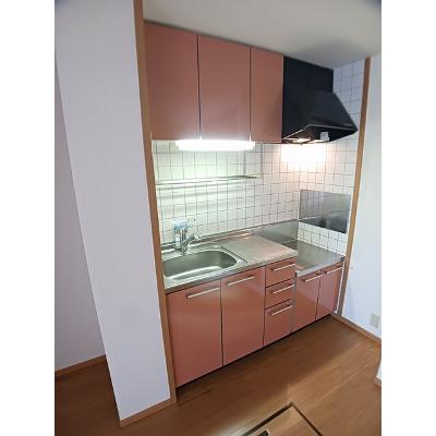 アルエット・シエル 102【管理NO：1-012536101-01020】 ★家具家電は申し込み後に搬入しますの物件写真3