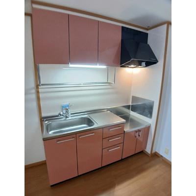 グレースコートⅣ 101【管理NO：1-013257101-01010】 ★家具家電は申し込み後に搬入しますの物件写真3