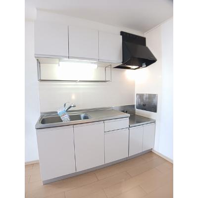 ティエラ 201【管理NO：1-016127801-02010】 ★家具家電は申し込み後に搬入しますの物件写真3