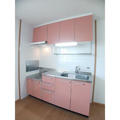 シャン．ド．フルール 202【管理NO：1-012433001-02020】 ★家具家電は申し込み後に搬入しますの物件写真3