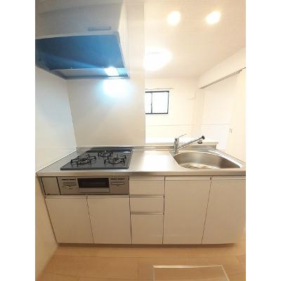 レディアンⅤ 101【管理NO：1-026951501-01010】 ★家具家電は申し込み後に搬入しますの物件写真3