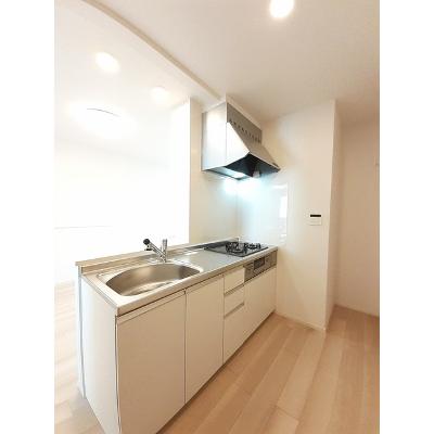ニューライツ・Ｓ 203【管理NO：1-026875001-02030】 ★家具家電は申し込み後に搬入しますの物件写真3