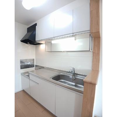 ピュアストリーム　Ｂ 202【管理NO：1-017213802-02020】 ★家具家電は申し込み後に搬入します★の物件写真3