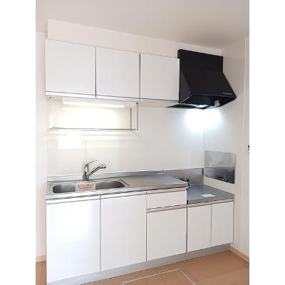 ラルジュグリーンＦ 102【管理NO：1-017015302-01020】 ★家具家電は申し込み後に搬入しますの物件写真3