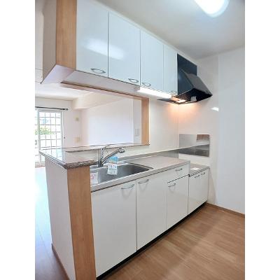 Ｍａｉ　Ｄｅａ 103【管理NO：1-013931701-01030】 ★家具家電は申し込み後に搬入します★の物件写真3