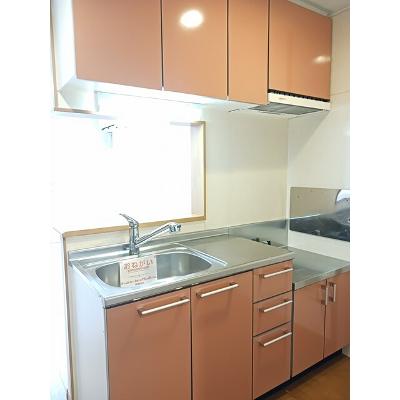 ピアコートⅡ 102【管理NO：1-013598702-01020】 ★家具家電は申し込み後に搬入しますの物件写真3