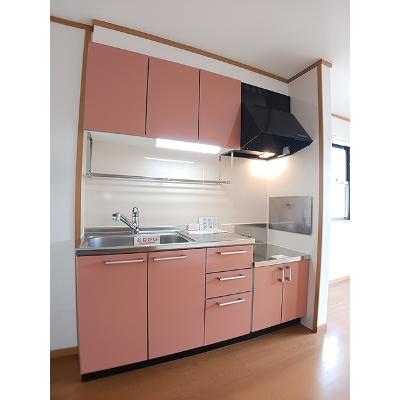 プラシードＢ 202【管理NO：1-013156602-02020】 ★家具家電は申し込み後に搬入します★の物件写真3