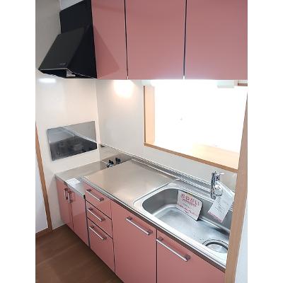 サンリット　パレスＣ 203【管理NO：1-012862103-02030】 ★家具家電は申し込み後に搬入します★の物件写真3