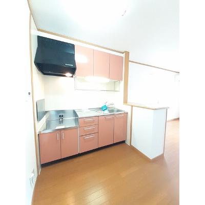 サンリット　パレスＡ 203【管理NO：1-012862101-02030】 ★家具家電は申し込み後に搬入しますの物件写真3