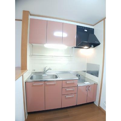 サンリット　パレスＡ 201【管理NO：1-012862101-02010】 ★家具家電は申し込み後に搬入します★の物件写真3