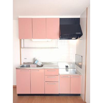 シャン．ド．フルール 203【管理NO：1-012433001-02030】 ★家具家電は申し込み後に搬入しますの物件写真3
