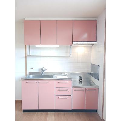 シャン．ド．フルール 103【管理NO：1-012433001-01030】 ★家具家電は申し込み後に搬入しますの物件写真3