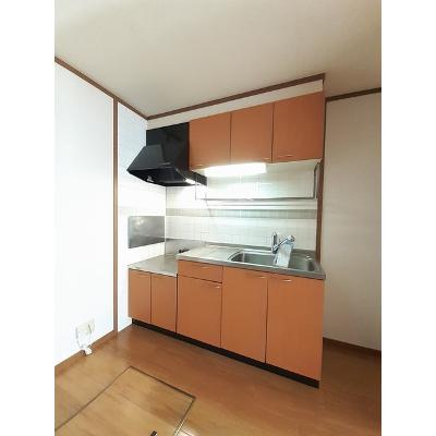 メゾン・ド・ファミール 102【管理NO：1-010262301-01020】 ★家具家電は申し込み後に搬入しますの物件写真3