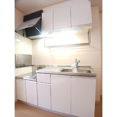 エクセルハイツ川口 203【管理NO：1-006035601-02030】 ★家具家電は申し込み後に搬入します★の物件写真3