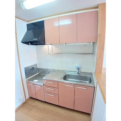 セイバリーハウス　Ｙ＆Ｍ 201【管理NO：1-011753601-02010】 ★家具家電は申し込み後に搬入します★の物件写真3