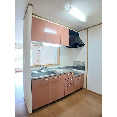 カーサ　セレノ　Ａ 203【管理NO：1-013343101-02030】 ★家具家電は申し込み後に搬入しますの物件写真3