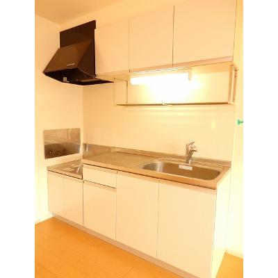 ナーシサス　ガーデン 204【管理NO：1-017443101-02040】 ★家具家電は申し込み後に搬入しますの物件写真3