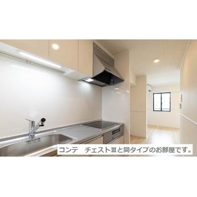 サザンエステート中須 202【管理NO：1-028415001-02020】 ★家具家電は申し込み後に搬入します 2026年09月上旬入居可能の物件写真3