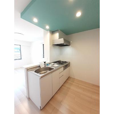 エーデルワイス 203【管理NO：1-025825601-02030】 ★家具家電は申し込み後に搬入しますの物件写真3