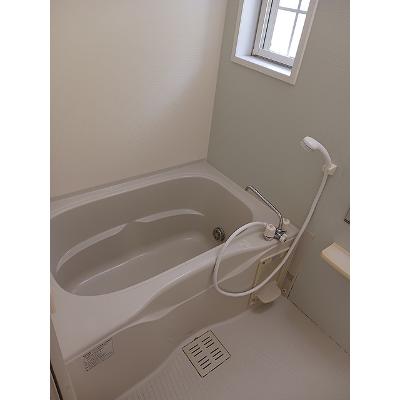 ベル・ラフレシール 203【管理NO：1-015218901-02030】 ★家具家電は申し込み後に搬入しますの物件写真4