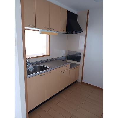モデッサ・リーノ　Ｂ 203【管理NO：1-014882602-02030】 ★家具家電は申し込み後に搬入します★の物件写真3