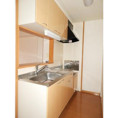 プラシード五番館 203【管理NO：1-013835304-02030】 ★家具家電は申し込み後に搬入しますの物件写真3