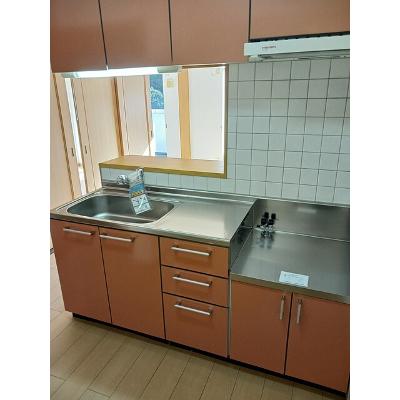 ヌーヴェル・ブリーゼ 303【管理NO：1-012555601-03030】 ★家具家電は申し込み後に搬入しますの物件写真3