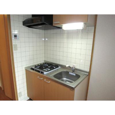 カルフ－ル緑井 308【管理NO：1-011592001-03080】 ★家具家電は申し込み後に搬入します 2026年07月下旬入居可能の物件写真3
