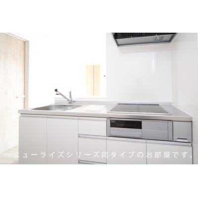 カプリコーン 203【管理NO：1-027350501-02030】 ★家具家電は申し込み後に搬入します★ ★2026年11月下旬入居可能★の物件写真3