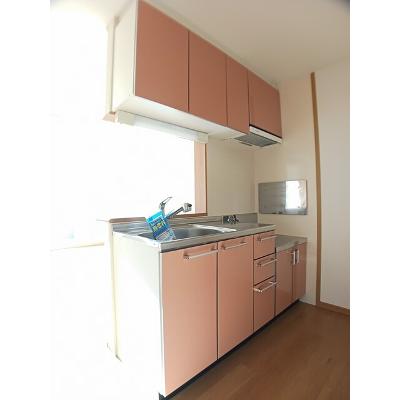 フィオーレＡ 102【管理NO：1-013449301-01020】 ★家具家電は申し込み後に搬入します★の物件写真3