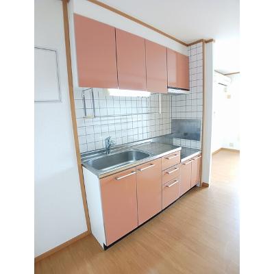 アンソレイユＴＮ　Ⅱ 205【管理NO：1-012528501-02040】 ★家具家電は申し込み後に搬入しますの物件写真3