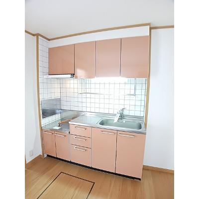 アンソレイユＴＮ　Ⅱ 101【管理NO：1-012528501-01010】 ★家具家電は申し込み後に搬入しますの物件写真3