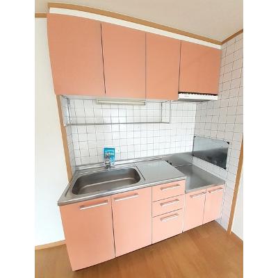 パークサイドハイムＡ 202【管理NO：1-012151101-02020】 ★家具家電は申し込み後に搬入しますの物件写真3