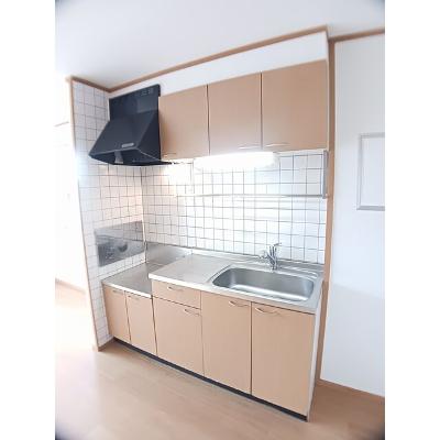 ミニョンひな 203【管理NO：1-012060801-02030】 ★家具家電は申し込み後に搬入しますの物件写真3
