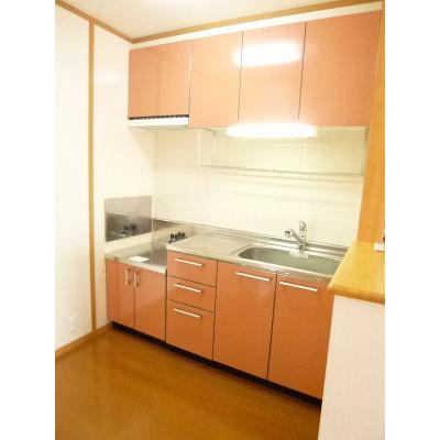 グリーンコート　Ｅ 201【管理NO：1-013348705-02010】 ★家具家電は申し込み後に搬入します★の物件写真3