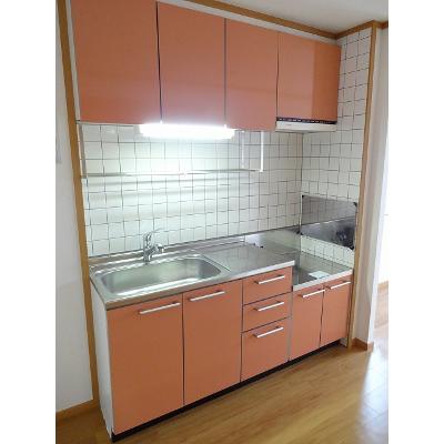 ボナールＹ　Ａ 201【管理NO：1-012015001-02010】 ★家具家電は申し込み後に搬入しますの物件写真3