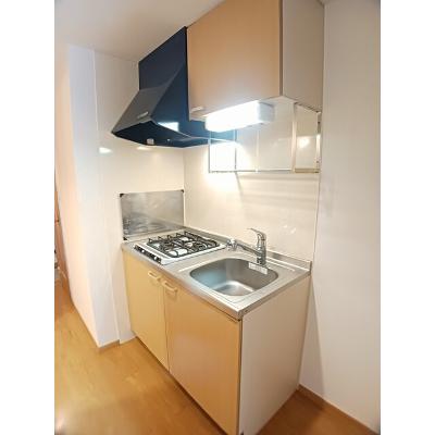 グランデュールＲ 107【管理NO：1-011951201-01060】 ★家具家電は申し込み後に搬入します★の物件写真3