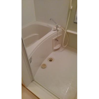 ビエント　パラーシオ 202【管理NO：1-014104101-02020】 ★家具家電は申し込み後に搬入します★の物件写真4