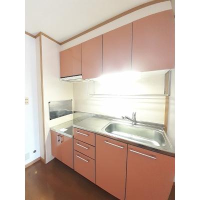 グランド　ウィッシュＡ 103【管理NO：1-012925301-01030】 ★家具家電は申し込み後に搬入します★の物件写真3