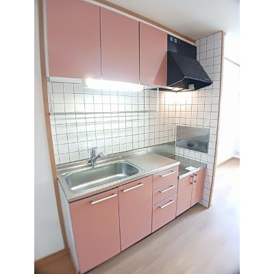 フォンターナ　フェリチータＣ 203【管理NO：1-012540903-02030】 ★家具家電は申し込み後に搬入します★の物件写真3