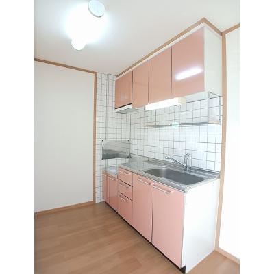 サンフラワー 202【管理NO：1-012535001-02020】 ★家具家電は申し込み後に搬入します★の物件写真3